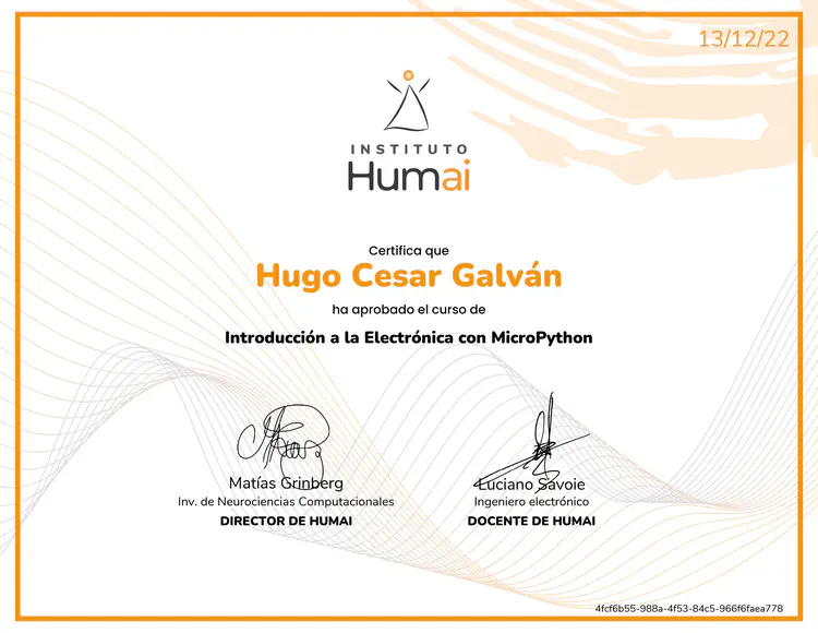 electronica_hugo-cesar-galvan.jpg